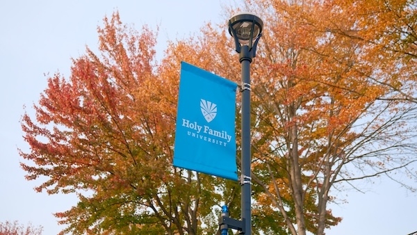 A 买球app flag on a light pole with a large tree in the background
